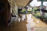 Warga bertahan di dalam rumahnya yang terendam banjir di Desa Tanjungsari, Kecamatan Sukaresik, Kabupaten Tasikmalaya, Jawa Barat, Kamis (9/3/2023). Sebagian warga tetap berada di rumah sementara lainnya sebanyak 1.100 Kepala Keluarga (KK) terpaksa mengungsi akibat rumahnya terendam banjir luapan sungai Citanduy dan Cikidang. ANTARA FOTO/Adeng Bustomi/agr