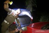 Satpol PP Agam sita belasan botol minuman beralkohol, puluhan artis sawer lari