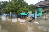 Banjir rendam sejumlah rumahdan satu sekolah di Bangka Tengah