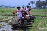 Target bajak gratis Tanah Datar meningkat, kini 4.300 hektare sawah