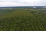 Prodi Kehutanan UMPR teliti perubahan penutupan hutan Katingan