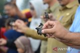Sejumlah warga melepas tukik lekang  (Lepidochelys olivacea) di pantai Lamtengoh, kabupaten Aceh Besar, Aceh, Selasa (14/3/2023). Pangkalan Pengawas Sumber Daya Kelautan dan Perikanan (PSDKP) Banda Aceh melepas sebanyak 79 ekor tukik lekang hasil penangkaran di perairan Aceh Besar guna menjaga beberlangsung penyu dari ancaman kepunahan. ANTARA FOTO/Ampelsa.