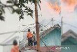 Bangunan sarang walet dan rumah di Desa Babai, Barsel ludes terbakar