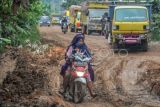 Jalan Rusak Di Muarojambi