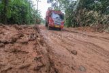 Kendaraan roda empat melaju pelan saat melintasi Jalan Lintas Suak Kandis-Jambi yang rusak di Desa Pulau Mentaro, Muarojambi, Jambi, Kamis (16/3/2023). Jalan penghubung Kabupaten Tanjungjabung Timur dengan Kota Jambi itu bergelombang dan berlubang hingga kedalaman 60 cm di sejumlah titik. ANTARA FOTO/Wahdi Septiawan/aww.

