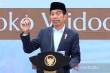 IKN pintu gerbang percepatan pembangunan di Kalimantan, kata Jokowi