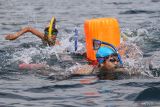 Peserta renang beradu kecepatan menuju garis finish saat mengikuti lomba renang Open Water Swimming dalam Sabang Marine Festival 2023 di Teluk Kota Sabang, Aceh, Sabtu (18/3/2023).  Antara Aceh/Khalis Surry