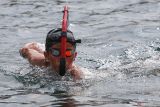 Peserta renang memacu kecepatan menuju garis finish saat mengikuti lomba renang Open Water Swimming dalam Sabang Marine Festival 2023 di Teluk Kota Sabang, Aceh, Sabtu (18/3/2023).  Antara Aceh/Khalis Surry