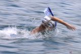 Peserta renang memacu kecepatan menuju garis finish saat mengikuti lomba renang Open Water Swimming dalam Sabang Marine Festival 2023 di Teluk Kota Sabang, Aceh, Sabtu (18/3/2023).  Antara Aceh/Khalis Surry