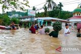 12 rumah hingga puluhan hektare sawah warga terendam banjir di Solok