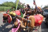  Peserta mengikuti Parade Cikar di Kediri, Jawa Timur, Sabtu (18/3/2023). Parade yang diikuti sebanyak 32 cikar atau gerobak sapi tersebut guna memperingati HUT ke-1219 Kabupaten Kediri sekaligus sebagai upaya melestarikan dan mengapresiasi masyarakat yang masih tetap menggunakan cikar sebagai alat transportasi. ANTARA Jatim/Prasetia Fauzani/zk