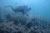 Gunung Api Bawah Laut Sabang