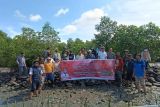 DKP Sulsel fokus penanaman 154 ribu bibit mangrove di wilayah Bosowasi