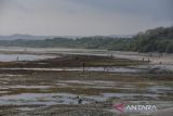 Pengunjung berwisata di Pantai Sindangkerta, Kabupaten Tasikmalaya, Jawa Barat, Selasa (22/3/2023). Berdasarkan data Balai Besar Konservasi Sumber Daya Alam (BBKSDA) Jawa Barat terdapat lahan seluas 90 hektare di pesisir Pantai Sindangkerta yang merupakan kawasan suaka margasatwa. ANTARA FOTO/Adeng Bustomi/agr
