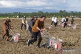 Presiden Joko Widodo (tengah) didampingi  Bupati Keerom Piter Gusbager (kiri) menanam jagung menggunakan mesin planter saat meninjau lumbung pangan di Kampung Wambes, Distrik Mannem, Keerom, Papua, Selasa (21/03/2023). Pemerintah berencana menyiapkan lahan secara bertahap sekitar 10 ribu hektare untuk dijadikan lumbung pangan yang akan ditanami jagung di Kabupaten Keerom. ANTARA FOTO/Sakti Karuru/wsj.