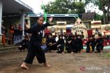 Warga menampilkan atraksi silat pada acara Aktualisasi Budaya Ngerandhu Buka di Kampung Papring, Kalipuro, Banyuwangi, Jawa Timur, Minggu (26/3/2023). Umat muslim  di daerah tersebut mengisi waktu menunggu berbuka puasa dengan menggelar kegiatan budaya seperti pencak silat dan musik tradisional. ANTARA Jatim/Budi Candra Setya/zk