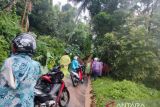 Enam kecamatan di Agam dilanda pohon tumbang, banjir dan longsor