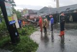 Angin kencang tumbangkan belasan pohon di Bantul