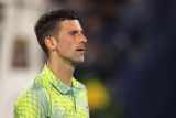 Djokovic berpeluang kembali ke peringkat No.1 dunia seusai Alcaraz kalah di Miami Open