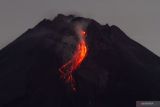 Gunung Merapi 7 kali luncurkan guguran lava pijar