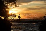 Wisatawan menikmati matahari terbenam di pantai Sungai Suci di Kabupaten Bengkulu Tengah, Provinsi Bengkulu, Minggu (02/4/2023). Pantai Sungai Suci merupakan destinasi wisata yang selalu ramai dikunjungi karena memiliki gugusan batu karang yang indah serta menjadi salah satu kawasan yang rutin di singgahi Presiden Ir. Soekarno kala diasingkan ke Provisni tersebut. ANTARA FOTO/Muhammad Izfadi/YU