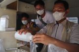 Loka POM Tuba cek sampel jajanan takjil di Pasar Simpang Pematang Mesuji
