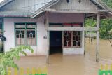BPBD: Dua desa di Kabupaten Buol terendam banjir