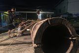 Warga Kampung Caping, Kota Pontianak, Kalbar, Ahad (9/4) malam bergotong royong membuat tujuh meriam karbit untuk menyambut Hari Raya Idul Fitri. Meriam yang terbuat dari kayu Mengkirai Batu sepanjang 6-7  meter dengan diameter 60-70 centimeter dililit dengan rotan. Warga  mulai bekerja usai tarawih dan alat yang digunakan secara tradisional termasuk pengukit rotan yang melilit batangan meriam.Meriam karbit dibunyikan bersahut-sahutan di malam Lebaran dan menjadi tradisi warga Pontianak yang bermukim di sepanjang Sungai Kapuas. Foto ANTARA/Evy R. Syamsir