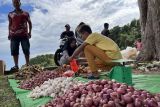 Seorang pedagang bawang sedang melayani warga yang belanja di lapak dagangannya yang digelar di area pelabuhan Pulau Tambelan, Kabupaten Bintan, Kepri, Jumat (7/4). Para pedagang antar pulau yang berasal dari Pemangkat, Kabupaten Sambas, Provinsi Kalimantan Barat biasanya ikut dalam pelayaran Kapal Perintis yang mengelilingi wilayah Kepri dari Sintete (Kalbar) terus ke Serasan-Subi-Midai-Ranai-Pulau Laut- Tarempa-Letung-Tanjungpinang, pulang pergi dalam masa 12 hari pelayaran. Mereka selalu mengelar dagangan di pulau yang mereka singgah dan barang dagangan tersebut menjadi kebutuhan masyarakat pulau di perairan Kepri.  Foto ANTARA/Evy R. Syamsir