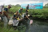 Perusahaan air mineral ikut kelola irigasi untuk petani di  Klaten