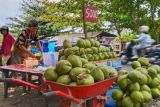 Permintaan Kelapa Muda Meningkat Saat Ramadhan Di Padang