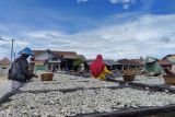 Perajin teri asin di Pulau Pasaran harap ada bantuan cold storage dari pemerintah