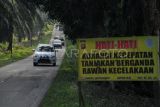 Kendaraan melintasi Jalan Ness, Bajubang, Batanghari, Jambi, Sabtu (15/4/2023). Jalan Ness yang menghubungkan Kota Jambi dengan Kabupaten Batanghari di lintas barat daerah itu merupakan jalur alternatif yang bisa dimanfaatkan pemudik dari arah Jambi tujuan Sumatera Barat atau sebaliknya untuk memangkas jarak tempuh hingga 15 kilometer lebih bila dibandingkan melewati Jalan Lintas Sumatra. ANTARA FOTO/Wahdi Septiawan/aww.