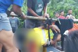 Warga Siak Riau tewas diduga diserang harimau