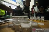 Petugas gabungan Dokkes, Polisi Satnarkoba dan Satlantas Polres Lhokseumawe melakukan tes urine sopir angkutan umum Antar Kota Antar Provinsi (AKAP) di terminal Kandang, Lhokseumawe, Aceh, Rabu (19/4/2023) malam. Pemeriksaan narkoba secara acak itu dilakukan untuk menjaring dan mencegah penggunaan narkotika oleh para sopir bus angkutan mudik Lebaran guna menjamin keamanan dan keselamatan pemudik lebaran 2023. ANTARA/Rahmad