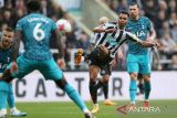 Pemain Newcastle United Jacob Murphy menendang bola yang berujung gol pada pertandingan Liga Inggris melawan Tottenham Hotspur di St James' Park, Newcastle, Inggris (23/4/2023). ANTARA FOTO/REUTERS/Scott Heppell/aww.