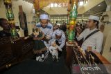 Pengurus masjid menuntun balita menjejakkan kaki untuk naik ke atas mimbar tempat khatib berkhotbah saat tradisi Lebaran Batumbang Apam di halaman Masjid Al Munawwarah, Kabupaten Hulu Sungai Tengah, Kalimantan Selatan, Selasa (25/4/2023). Batumbang Apam merupakan salah satu tradisi Suku Banjar yang digelar saat Lebaran dan diwariskan dari orang tua kepada anak cucu dengan harapan agar anak senantiasi suka ke Masjid. ANTARA/Bayu Pratama S.