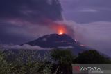 48 kali letusan akibat erupsi puncak Gunung Ile Lewotolok NTT