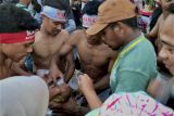 Ini dia warga rebutan Minyak Tasala usai atraksi pukul sapu lidi di Mamala