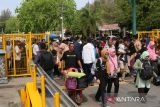 Calon penumpang  tujuan Pulau Sabang  berjalan menuju  kapal roro KMP BRR  di pelabuhan penyeberangan, Ulee Lheue, Banda Aceh, Aceh, Minggu (30/4/2023).  PT ASDP Indonesia Ferry Cabang Banda Aceh mencatat jumlah kedatangan dan keberangkatan penumpang kapal pada arus balik  mudik  liburan Idul Fitri 1444 Hijriyah  hingga tanggal 29 April 2023  di pelabuhan penyeberangan tersebut mencapai 60.000 orang. ANTARA FOTO/Ampelsa.