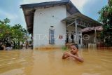 Seorang anak bermain air saat banjir merendam kawasan permukiman di Suka Karya, Kota Baru, Jambi, Senin (1/5/2023). Banjir yang merendam seratusan rumah di satu kecamatan itu terjadi akibat hujan deras sejak Senin (1/5/2023) dini hari. ANTARA FOTO/Wahdi Septiawan/pras.