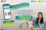 Promo tambah daya Harbelnas sukses, puluhan ribu order banjiri UMKM di marketplace PLN Mobile