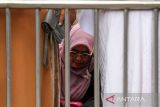 Keluarga korban tragedi Simpang KAA mengusap air mata usai pembacaan surat terbuka untuk Presiden Joko Widodo saat peringatan mengenang 24 tahun tragedi Simpang KAA di Tugu Keadilan Dewantara, Aceh Utara, Aceh, Rabu (3/5/2023). Mereka meminta Presiden Jokowi segera membentuk mekanisme hukum melalui pengadilan HAM ad hoc Aceh untuk penyelesaian soal pelanggaran HAM dalam tragedi Simpang KAA pada 3 Mei 1999 yang mengakibatkan 21 orang meninggal dunia dan 146 luka-luka. ANTARA/Rahmad