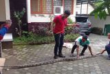 Ular piton ukuran besar 