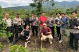 Polres Lampung Barat berhasil ungkap ladang ganja di OKU Selatan