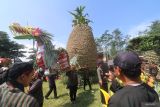 Warga mengarak buah nanas saat Festival Nanas di kawasan penghasil nanas lereng gunung Kelud Desa Sugihwaras, Kediri, Jawa Timur, Minggu (7/5/2023). Kegiatan dengan membagiakan ribuan buah nanas secara gratis tersebut sebagai upaya mempromosikan nanas unggulan hasil panen petani lereng gunung Kelud yang tersebar di 13 desa. Antara Jatim/Prasetia Fauzani/zk.