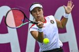 Petenis putri Indonesia Aldila Sutjiadi melenggang ke final WTA Cleveland