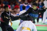 Iqbal raih emas pencak silat nomor tanding Class F