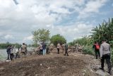 Kerbau di area Bandara Lombok ganggu penerbangan