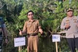 Dandim Agam tanam mangrove di pesisir pantai antisipasi abrasi